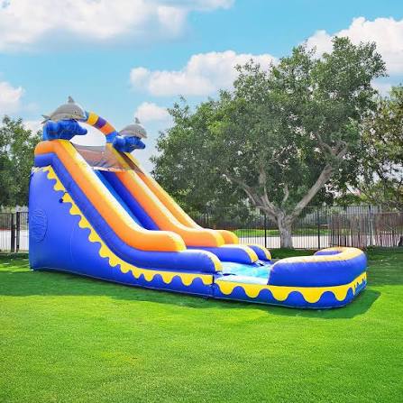 Dolphin, ocean themed inflatable slide rental.